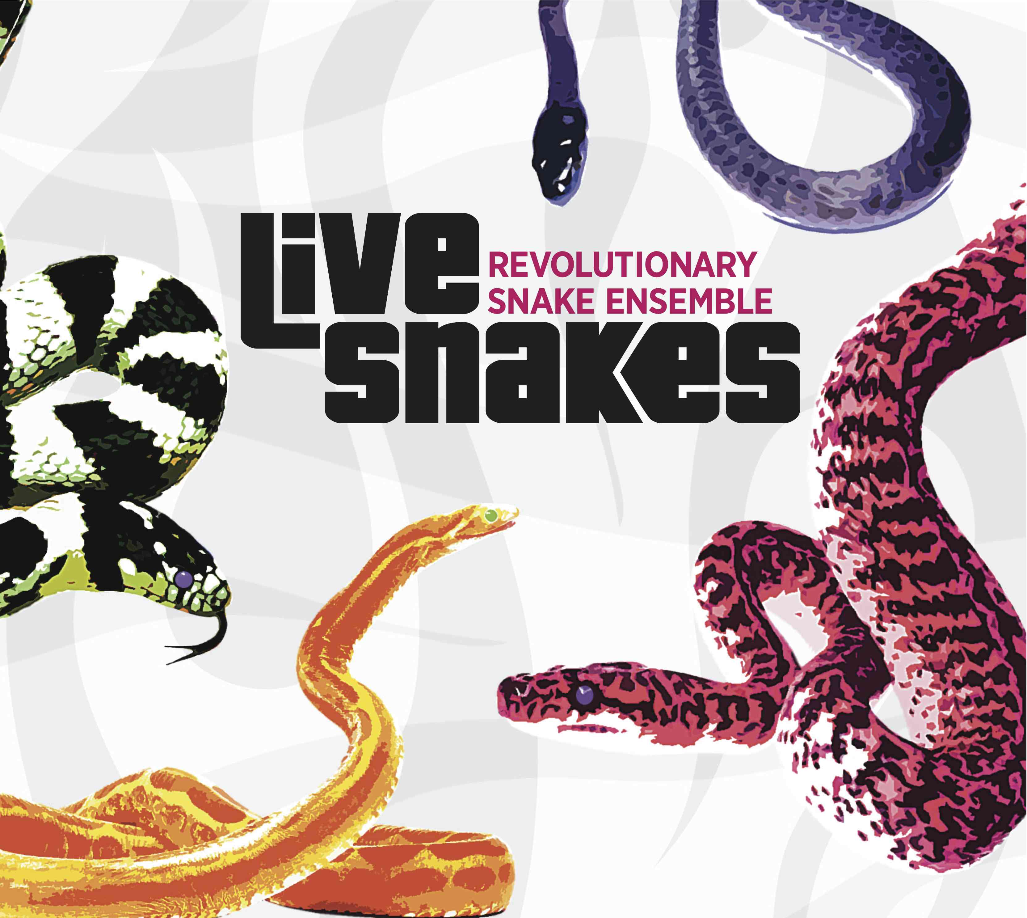 Live Snakes